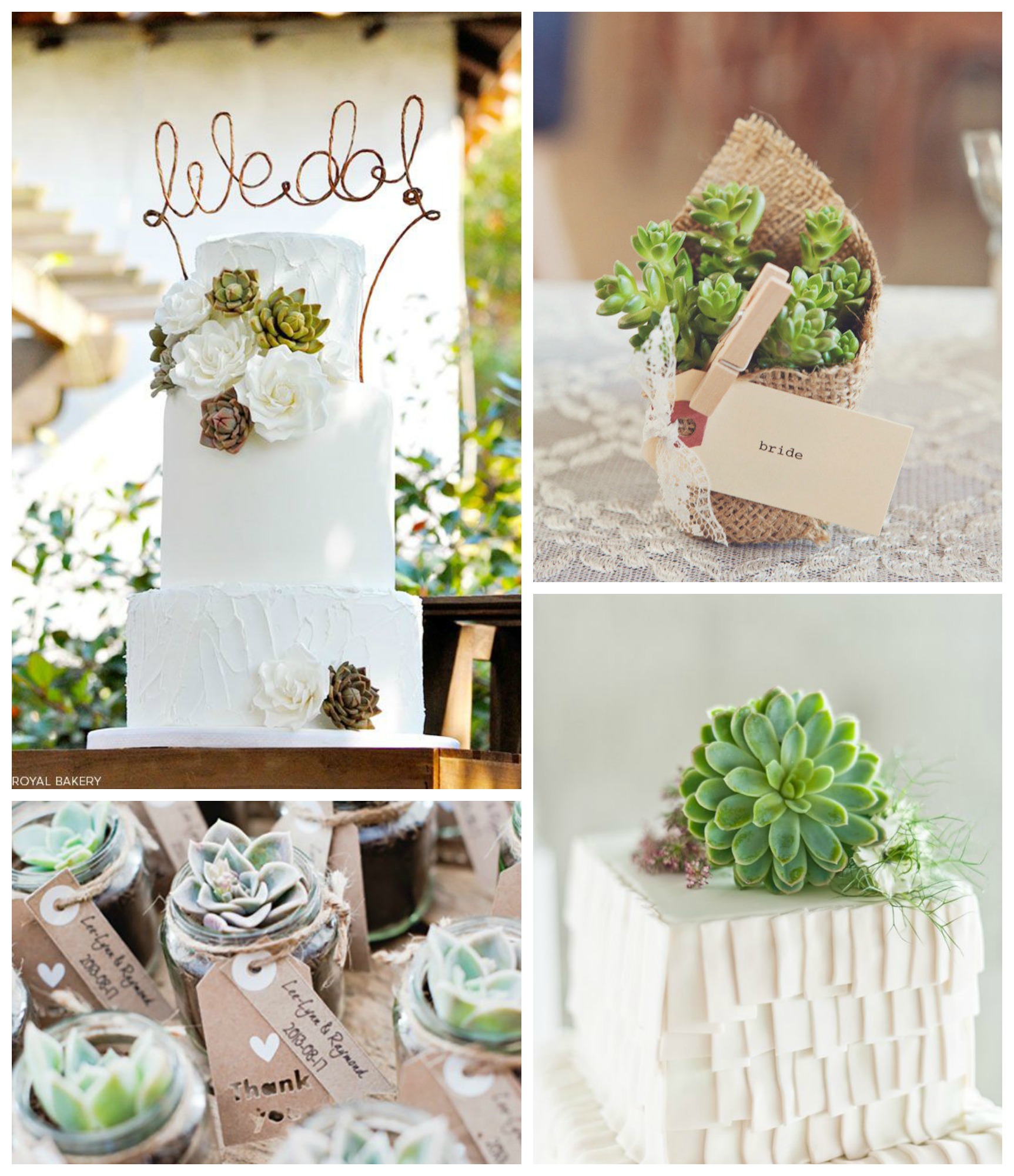 Succulente Per Le Nozze Wedding Therapy