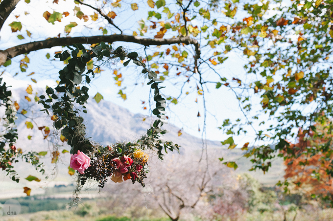 Anja-and-Josua-wedding-Rozendal-Tulbagh-South-Africa-shot-by-dna-photographers-0013