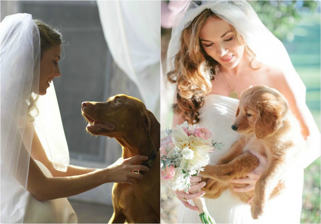 bride and dog