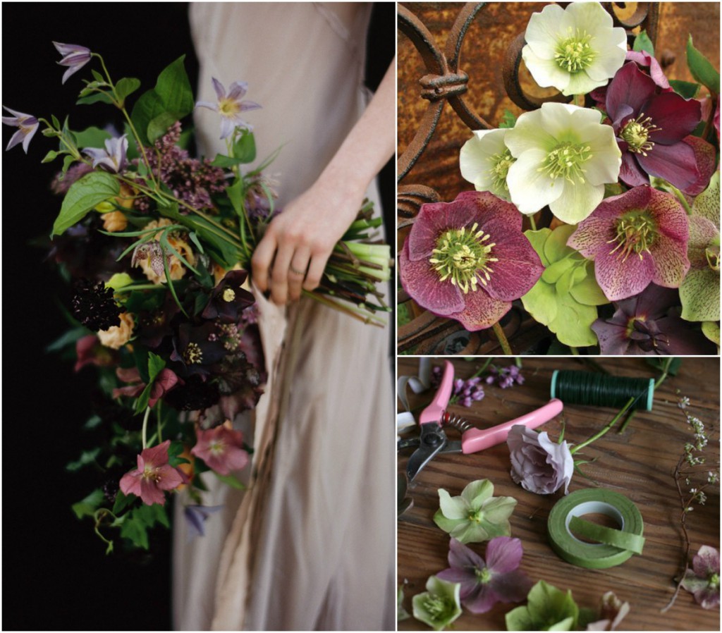 helleborus wedding