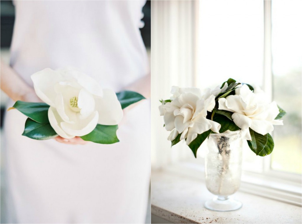 MAGNOLIA BRIDE