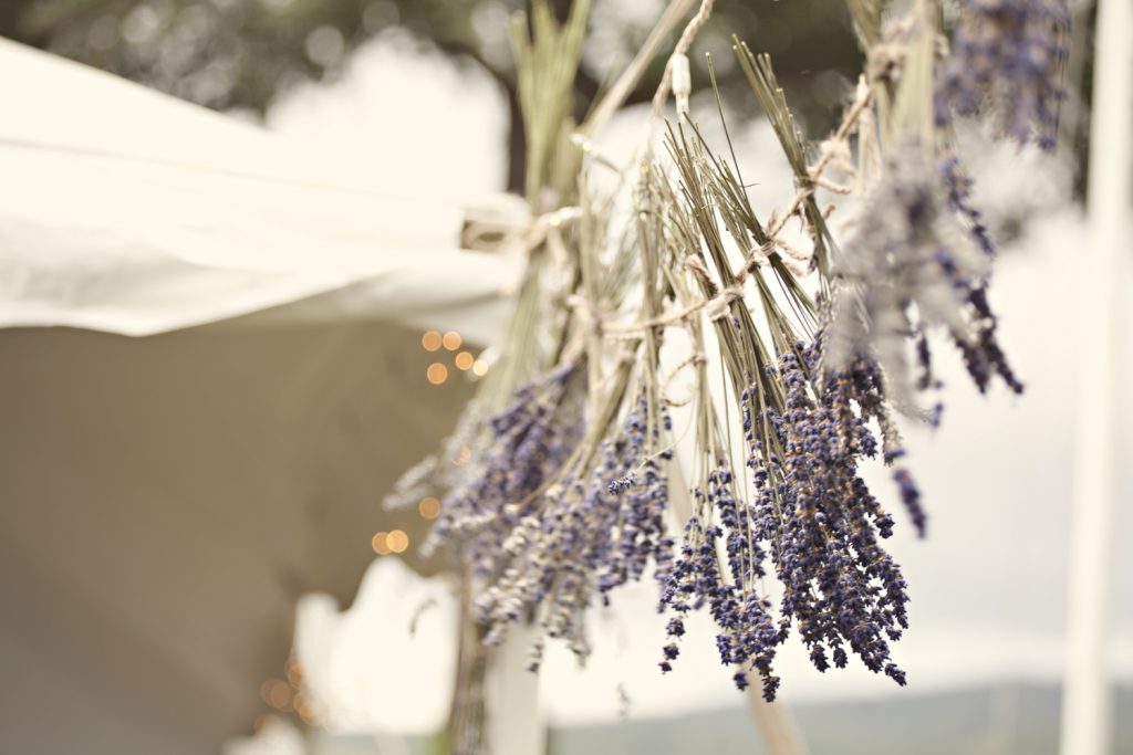 outdoor-real-wedding-2012-lavender
