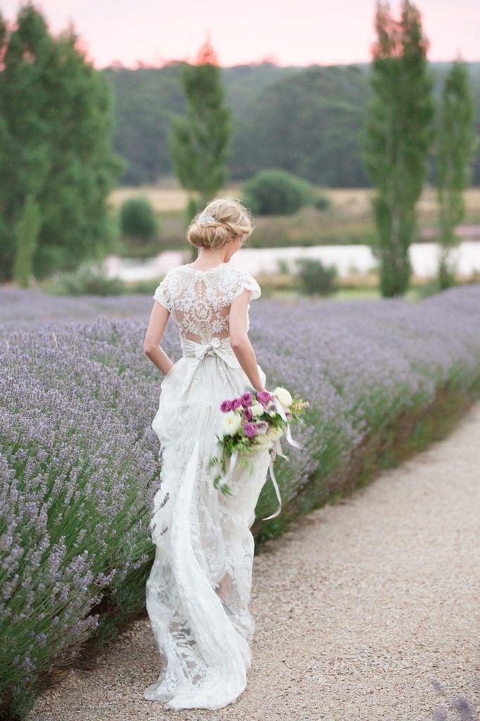 lavender-light