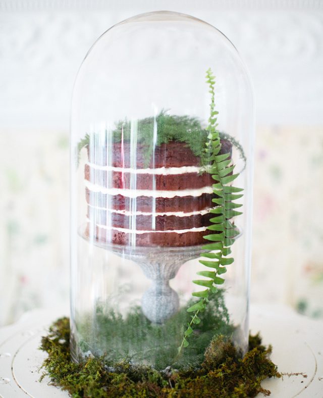 1._Desert_decorat_cu_feriga